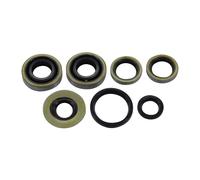 Jeu de joints d'arbre moteur pour Hercules 213 219 221 222 MF 3 4 MP2 3 4 HR1 Lastboy