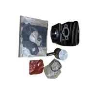 Jeu de Joints de Piston et d'axe de Piston for Tondeuse à Gazon OM43 36 37(The Cylinder assembl)