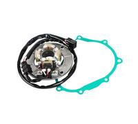 Jeu de joints de stator de générateur for YZ250F 2001, 2002, 2003, 2004 et 2005