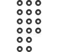 Jeu de joints, tige de soupape REINZ 12-31306-12