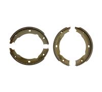 Jeu de mâchoires de frein à main DELPHI LS1881