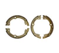 Jeu de mâchoires de frein à main DELPHI LS2119