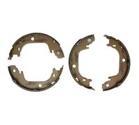 Jeu de mâchoires de frein à main DELPHI LS2122