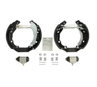 Jeu de mâchoires de frein BOSCH 0 204 114 679