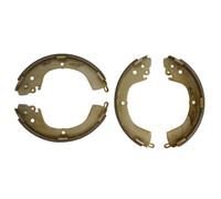 Jeu de mâchoires de frein DELPHI LS1852