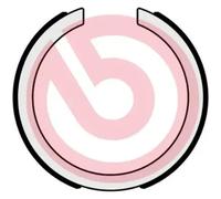 Jeu de mâchoires de frein, frein de stationnement S 49 523 BREMBO pour SSANGYONG