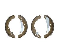 Jeu de mâchoires de frein LPR 07300