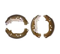 Jeu de mâchoires de frein LPR 09290