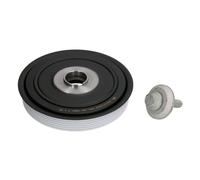 Jeu de poulies damper BTA E6C0002BTA