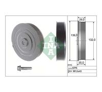 INA 544 0009 20 Kit poulie damper