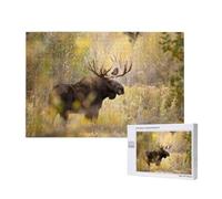 Jeu de Puzzle pour Adultes, Puzzles stimulants, Puzzle de 1000 pièces, Orignal Sauvage dans la forêt