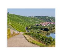 Jeu De Puzzles Classique, Puzzle 1000 Pièces pour Adultes Et Enfants，Toscane franque avec Vue sur Le célèbre vignoble d'Escherndorfer Lump，Bricolage Décor À La Maison Jouet Créatif（75x50cm）-BB2