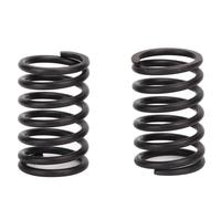 Jeu de ressorts de soupape de moteur de voiture à haute dureté Forte élasticité Remplacement de ressort de soupape de moteur d'usure de haute précision pour véhicules automobiles
