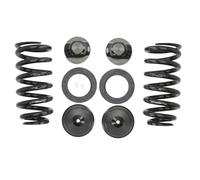 Jeu de ressorts de suspension ARNOTT EUROPE C-3080