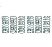 Jeu de ressorts d'embrayage TRW MEF160-6 pour BMW F 0.7 1994-1994