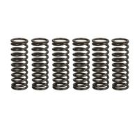 Jeu de ressorts d'embrayage TRW MEF308-6