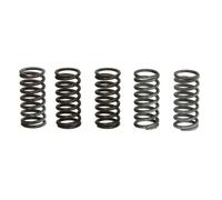 Kit muelles de embrague TRW MEF309-5
