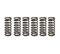 Jeu de ressorts d'embrayage TRW MEF326-6