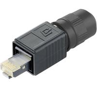 Jeu de RJ45 mâles Variante 4 Telegärtner 100007463 RJ45 mâle, droit Pôle: 8P8C noir 1 pc(s)