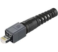 Jeu de RJ45 mâles Variante 4 Telegärtner 100007466 RJ45 mâle, droit Pôle: 8P8C noir 1 pc(s)