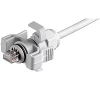 Jeu de RJ45 mâles Variante 6 Telegärtner 100023013 RJ45 mâle, droit Pôle: 8P8C gris clair 1 pc(s)