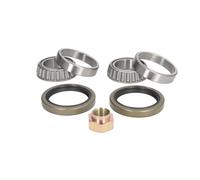 Jeu de roulements de roue BTA H1L001BTA