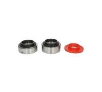 Jeu de roulements de roue Schaeffler FAG 566193.H195