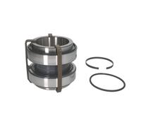 Jeu de roulements de roue Schaeffler FAG 803750B