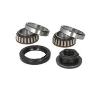 Jeu de roulements de roue SKF VKBA 3666