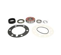 Jeu de roulements de roue SNR R141.43