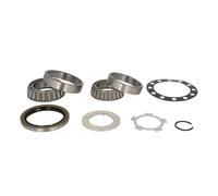 Jeu de roulements de roue SNR R169.33