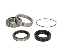 Jeu de roulements de roue SNR R173.07