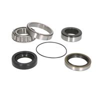 Jeu de roulements de roue SNR R173.20