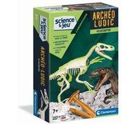 Archéo Ludic - Vélociraptor