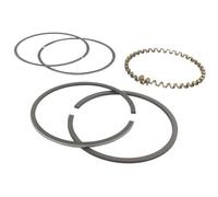 Jeu de segments adaptable pour KOHLER modèle K-301, 12 ch