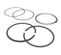 Jeu de segments adaptable pour KOHLER modèle K-301, 12 ch