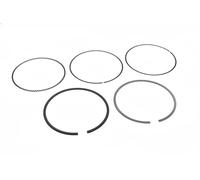 Pistons et anneaux 800118410000