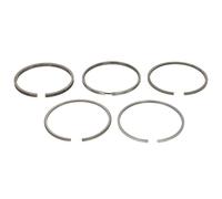 Jeu de segments de piston KOLBENSCHMIDT 800010910025
