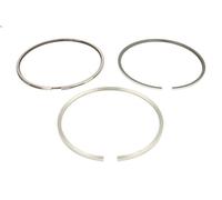 Jeu de segments de piston KOLBENSCHMIDT 800111310000 pour ANTOS 7.698 2012-2018