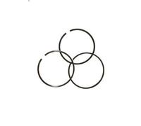 Jeu de segments de pistons KOLBENSCHMIDT 800055910000 pour ATEGO 4.249 1998-2004