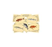 Jeu de société - j'apprends à reconnaîtres les poissons