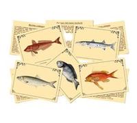 Jeu de société marc vidal - j'apprends à reconnaîtres les poissons G