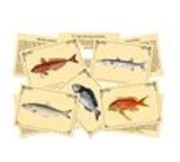 Jeu de société marc vidal - j'apprends à reconnaîtres les poissons G