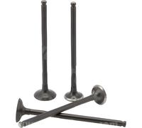Jeu de soupape TNT droite, 4 pièces, BK6-E2111-00 / B3F-E2121-00 pour Yamaha X-Max Tech-Max N-Max 125 ccm année 2021 - 2023