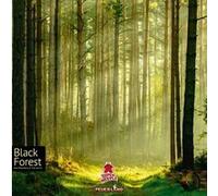 Jeu de stratégie Super Meeple Black Forest Multicolore G