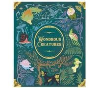 Jeu de stratégie Super Meeple Wondrous Creatures E