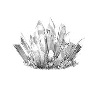 Jeu de Test de plantation de cristal, jouet interactif Parent-enfant en croissance, expérience de chimie, bricolage, éducatif