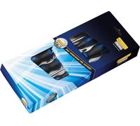 Jeu de tournevis HEYTEC équipé 5 pièces