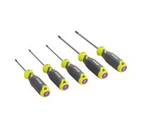Ryobi - Jeu de 5 tournevis Torx RHSDST5 T10 à T30 Spécial électroménager auto