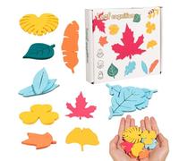Jeu de Tri de Formes Enfant | Jouet en Bois d'Encastrement Éducatif | Développement Cognitif Motricité Fine et Logique | Reconnaissance des Formes Naturelles pour de 3 à 6 Ans
